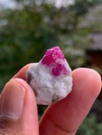 Afghan Ruby Specimen of 33 carat - Image 6