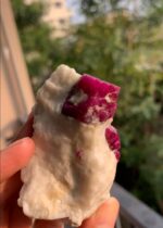 734 ct Afghan Ruby Specimen - Image 6