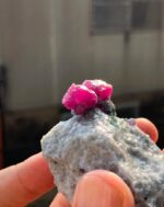 Beautiful 536 ct Ruby Specimen from Afghanistan - Image 11