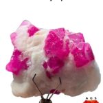 Colossal 96.1 ct Afghan Ruby Specimen