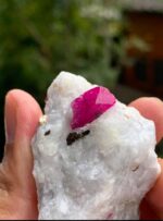 360 carat Ruby Specimen combined with Pyrite from Afghanistan - Image 6