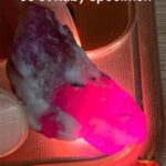 Afghan Ruby Specimen – 83 Carats of Natural Beauty