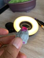 Natural Afghan Ruby Specimen – 88.40 Carats of Raw Beauty - Image 13