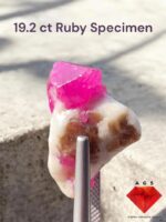 Afghan 19.2 ct Ruby Specimen from Afghanistan