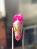 Afghan 19.2 ct Ruby Specimen from Afghanistan - Image 5