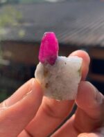 Collector Piece - 46 ct Afghan Ruby Specimen - Image 8