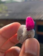 Collector Piece - 46 ct Afghan Ruby Specimen - Image 10