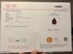 AIG Certified Colorful 17.35 CT Black Ethiopian Opal - Image 8