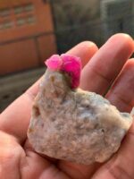 277 ct perfectly terminated Ruby Specimen from Afghanistan - Image 8