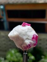 63.10 ct Ruby Specimen from Afghanistan - Image 11