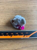 Eye Catching 96 ct Ruby Specimen from Afghanistan - Image 2