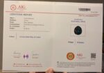 AIG Certified Honey Comb 24.45 CT Black Ethiopian Opal - Image 11