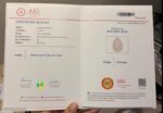 AIG Certified Beautiful 30.42 CT white Opal from Ethiopia - Image 9