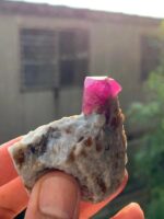 277 ct perfectly terminated Ruby Specimen from Afghanistan - Image 4
